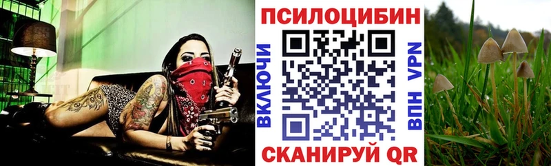 Купить где  Первоуральск  Псилоцибиновые грибы прущие грибы 